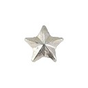 1 - 3/16" Silver Star