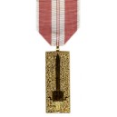 RVN Training Service 1C Medal